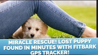 Miracle Rescue!  Lost Puppy Found in Minutes with Fitbark GPS Dog Tracker!