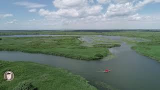 Excursie in Delta Dunarii alaturi de Ciprian Safca- Danube Delta tour with Ciprian Safca aerial view