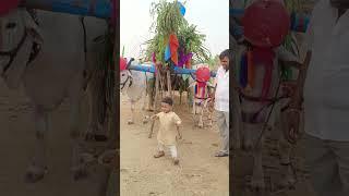 Dancing boy at Village Jathara#mahaansh #baby #dancing #jathara #subscribe