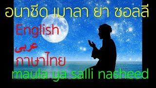 อนาชีด เมาลา ยา ซอลลี แปลไทย maula ya salli nasheed