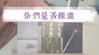 你們是否緣盡？你們之後的發展，破鏡重圓？關係更好? 還是緣盡？|塔羅占卜|愛情|曖昧|暗戀