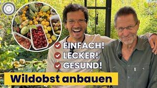 WILDOBSTPARADIES meines Professors - ANBAU & VERARBEITUNG! Von Pawpaw Berberitzen &  Kornelkirschen