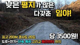 낮은 평지가 많은 다갖춘 임야~당3500원 미친가격!~도로,전기,산속 계곡 그리고 화전민터까지  경사도20도에 임업경영이 가능한 임야매매 경북 구미 도심지인근 매물세상사는 부동산