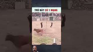 shahzad ansari 220 vlogs