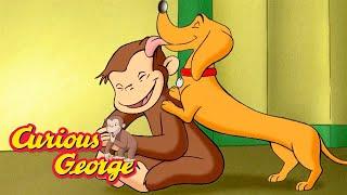 George and the Playful Dog!  Curious George  Kids Cartoon  Kids Movies