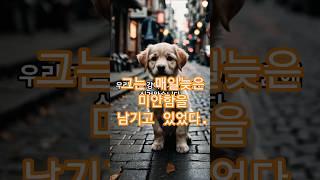 매일 빵 하나가 놓여 있던 자리… 누가, 왜 두고 간 걸까? #빵이야기 #감동반전 #시니어스토리
