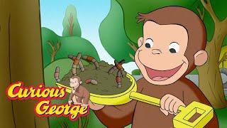 George's Search for Worms!  Curious George  Kids Cartoon  Kids Movies