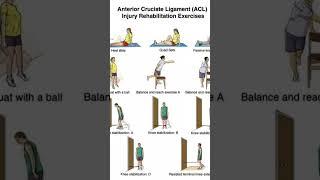 #aclrecovery #rehabilitation #acl #physiotherapy #physiotherapist #reels #anatomy #shoulder