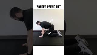 5 Movements to UNLOCK your STIFF BACK!!