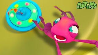 The Ants ESCAPE The DEADLY Spinning Top | Antiks  | Action Cartoons For Kids