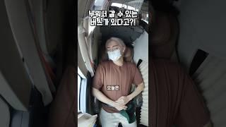 누워서 갈 수 있는 일등석 버스가 있다고?!