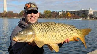 Catch carp in America - Fall carp fishing event Washington DC