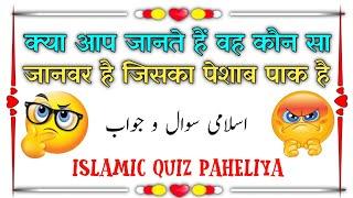 Islamic Quiz | Islamic Sawal Jawab | Islamic Common Sense | kbj kaun banega jannati | Islamic  info