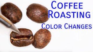 Coffee Roasting Basics - Color Changes