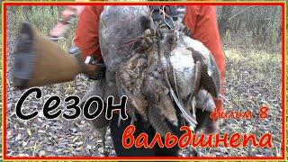 Сезон вальдшнепа -  фильм 8. О том, что осталось за кадром.