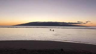 BABY BEACH | Lahaina, HI