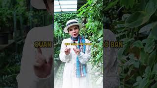 1 là bạn đúng 2 là bạn giàu