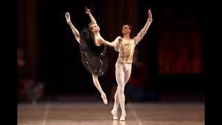 Borchenko & Lebedev - Black Swan PDD Variations & Coda