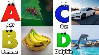 ABC Song for Kids | Learn Alphabet for Toddlers | Phonics for Kids | Alphabet Letters