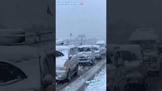 Snow | 2025 | Siya Tour & Travel Dharamshala 9816134513 #reels #travel #shorts #manali #2025 #vlog