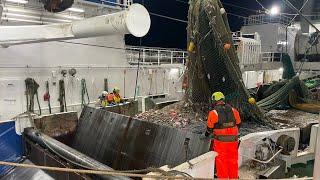 Atlantic Viking trawling the Barents Sea