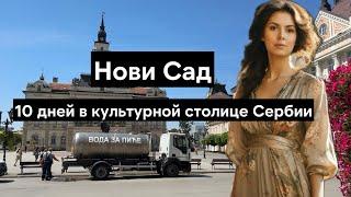 10 дней в Нови Саде - центр города, ночной рынок, жизнь в Сербии