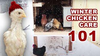 WINTER CHICKEN CARE 101 | Keeping Backyard Chickens Warm In COLD WEATHER | EGG LAYING HEN HOMESTEAD