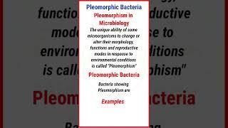 Pleomorphic Bacteria | #shorts