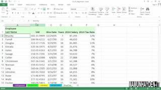 microsoft excel tutorial | Controlling titles and ....