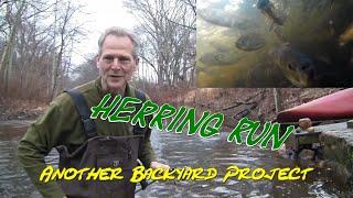 Herring Run