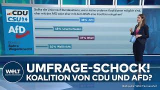 BSW UND AFD: Umfrage-Schock - Das denkt Deutschland über ein Bündnis mit der Union! Civey Umfrage