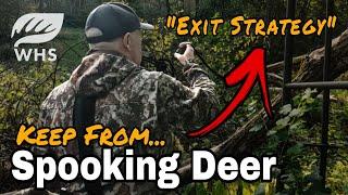 How To Exit Your Stand Without Spooking Deer