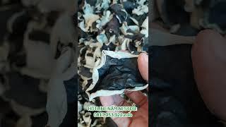 Nấm mèo mộc nhỉ Việt Nam