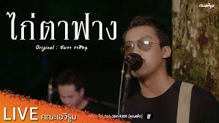 ไก่ตาฟาง - คณะเอวีรูม【LIVE Version】| Original : ธันวา ราศีธนู 4K