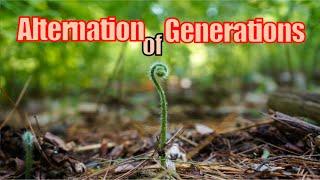 On Alternation of Generations