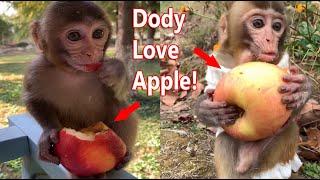 Sweetest Baby Monkey Dody Eat Big An Apple So Fast And Adorable