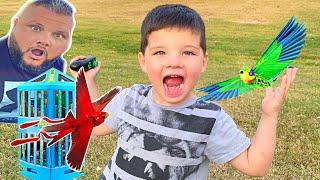 Caleb & Dad Play with Go-Go Birds PET TOYS! new pretend pet animal friends