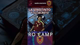 LA VINOTINTO avanza en la copa América y el secreto es