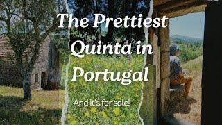 THE Prettiest Quinta For Sale Central Portugal