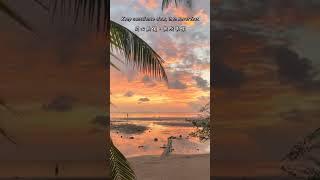 生活勵志小語 #Inspirational #inspirationalquotes #inspirationalwords #勵志語錄 #勵志正能量 #英語學習 #英文格言 #學英文 #shorts