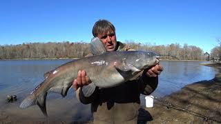 How to catch Catfish from the bank in winter