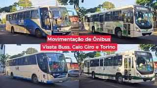 MOVIMENTAÇÃO de ÔNIBUS em MARINGÁ/PR!!! MUITOS MODELOS DE ÔNIBUS