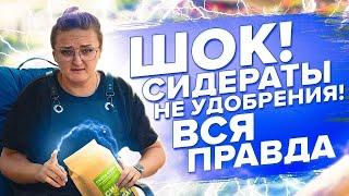 СИДЕРАТЫ НЕ УДОБРЕНИЯ! ВСЯ ПРАВДА О ГОРЧИЦЕ, ФАЦЕЛИИ, ГРЕЧИХЕ, РЕДЬКЕ