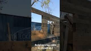 Log Cabin Tinyhome Container pt3 #diy #cabin #log #house #offgrid #solar #home #tinyhouse #cozy #wow