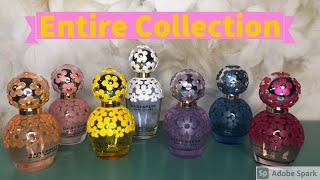 Daisy Dream Collection!! Reviewing & Ranking the Entire Line!! Should You Hunt Them Down?!