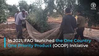 The Syrian Arab Republic Promotes Olives as its One Country One Priority Product