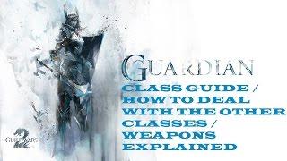 Guild Wars 2 (PvP Class Guide) Guardian