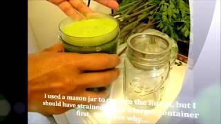 How to make and use Moringa Liquid Fertilizer