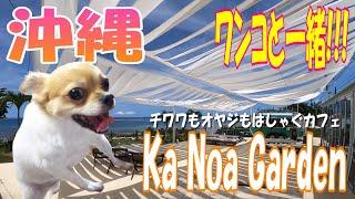 海辺の映えカフェに行ってみた。【KA NOA GARDEN】【沖縄旅行】【犬】【ペット可】【食事】