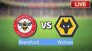 Brentford VS Wolves Match Live Score | English FA Cup Match Live Stream 2024 |